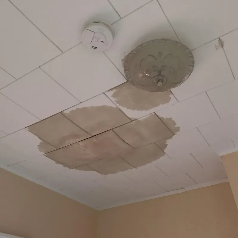 Ceiling Water Damage Repair in Earlington, KY