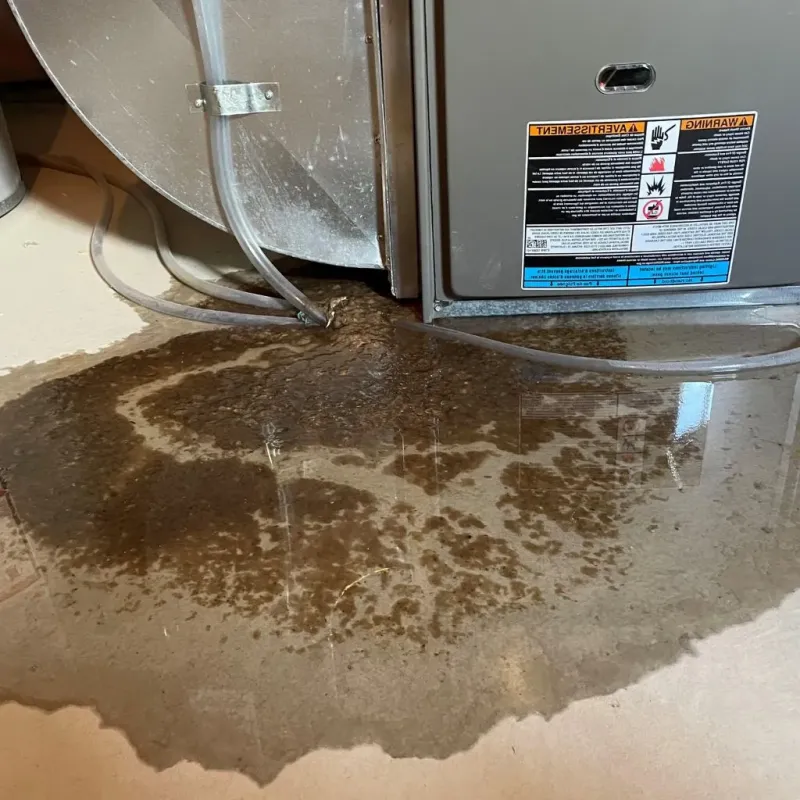 Pipe Burst and Leak Restoration in Earlington, KY