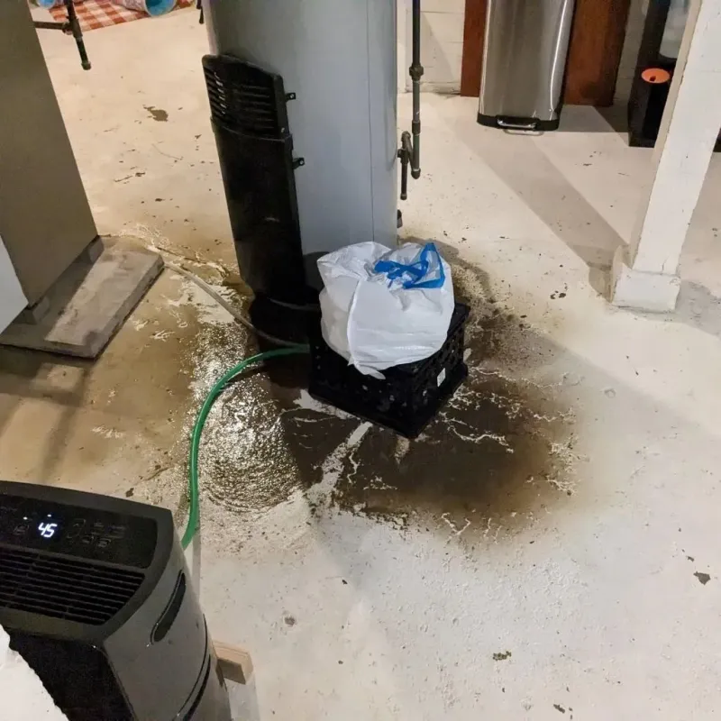 Sewage Backup Cleanup Service in Earlington, KY